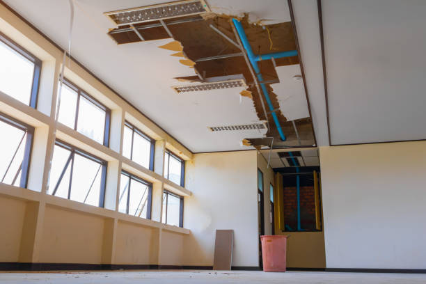 Best Water damage restoration near me  in Castle Hills, TX
