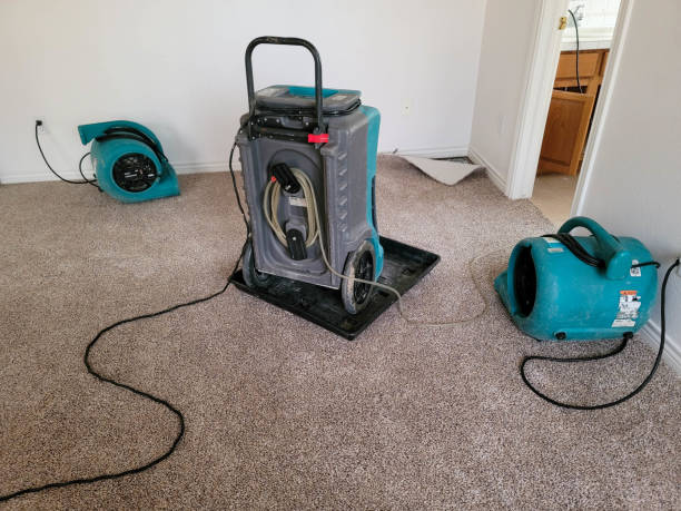 Best Water damage contractors near me  in Castle Hills, TX