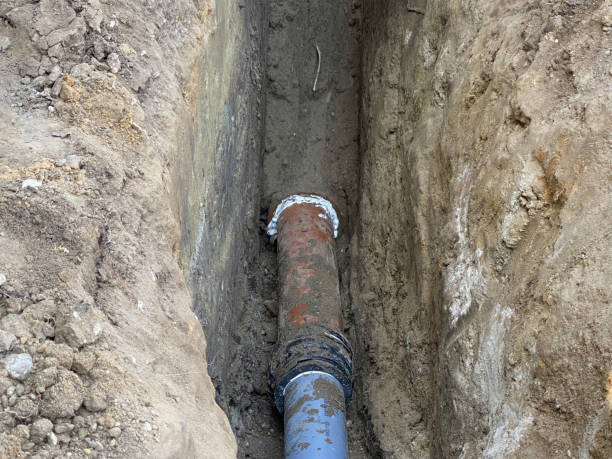 Best Basement water damage restoration  in Castle Hills, TX