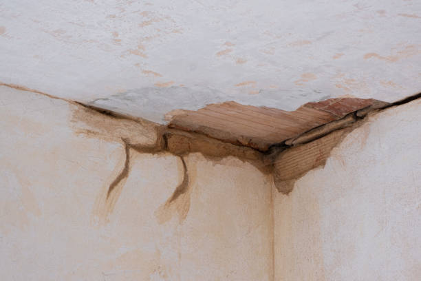 Best Water damage restoration process  in Castle Hills, TX