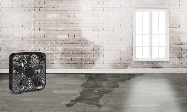 Best Commercial water damage restoration  in Castle Hills, TX