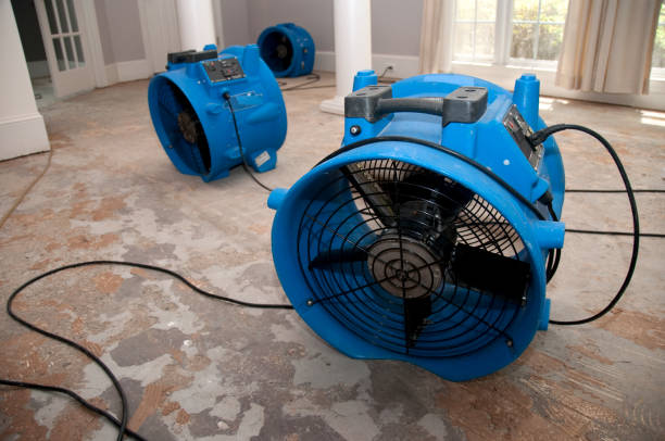 Best Flood damage cleanup  in Castle Hills, TX